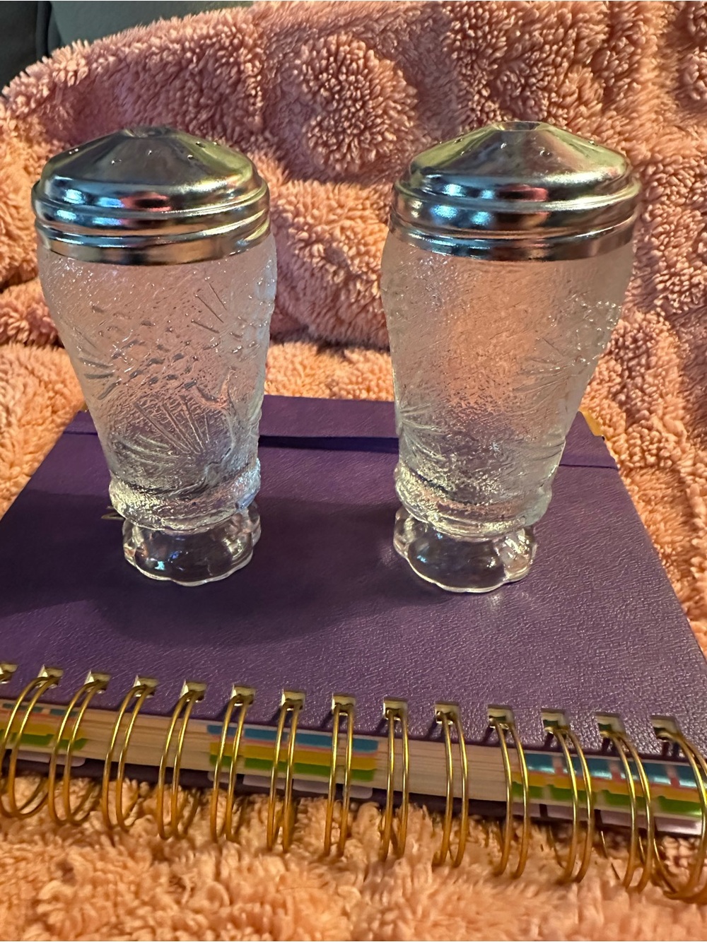 Indiana Glass Clear Textured Salt and Pepper Shakers with Silver Tops